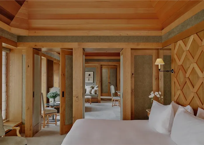 Hotel Aman Le Melezin 4*